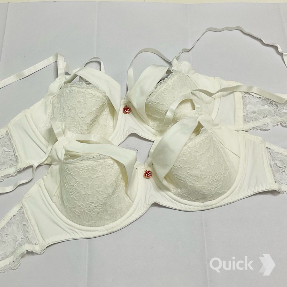 NWT 2 pcs Floral Lace Cutout Bras